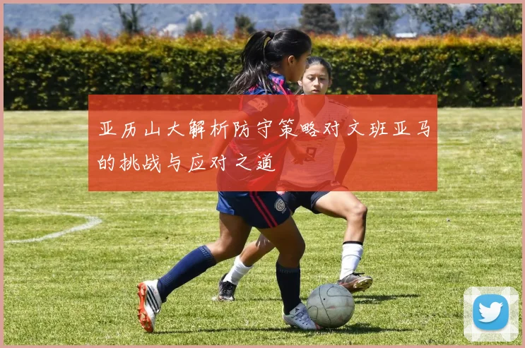 亚历山大解析防守策略对文班亚马的挑战与应对之道