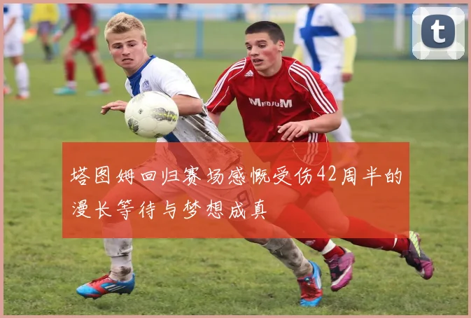 塔图姆回归赛场感慨受伤42周半的漫长等待与梦想成真