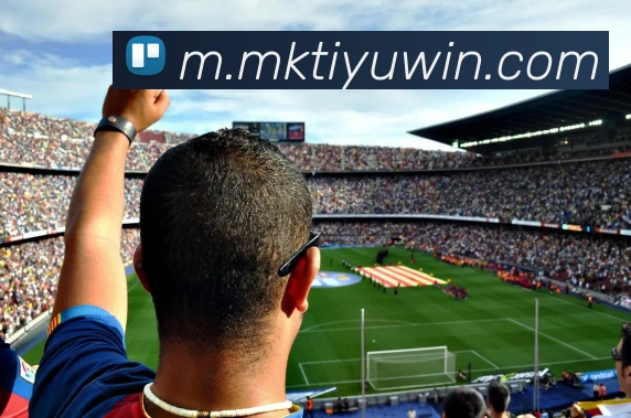 MK体育平台生态图