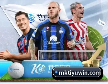了解平台 - 体育资讯内容服务 - MKSPORTS