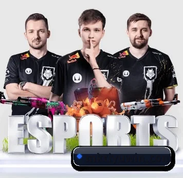 MK体育 APP | mksports